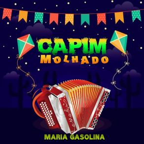 Download track Solidão De Caminhoneiro Capim Molhado