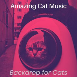 Download track Background For Training Your Cat Amazing Cat Music