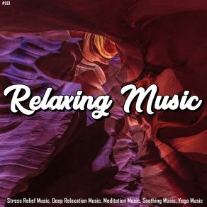 Download track Meditation Relaxing Vibes Relaxing Music Therapy