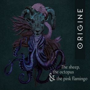 Download track Sheep, Octopus, Pink Flamingo Origine