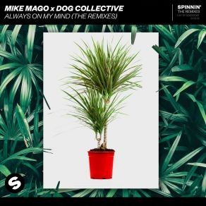 Download track Always On My Mind (Nihil Young Remix) Dog Collective