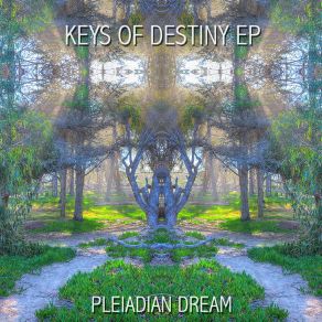 Download track Sensations, Pt. 1 Pleiadian Dream