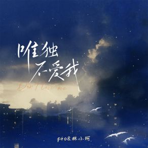 Download track 唯独不爱我 (伴奏) 林小珂