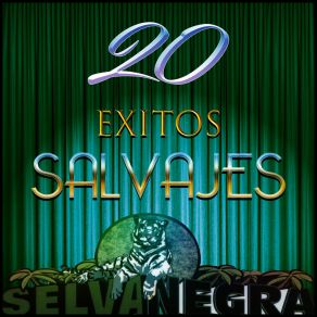 Download track Luz De Mi Alborada Selva Negra