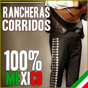 Download track El Caballero Bronco!, AmigosEl Bronco De Chihuahua