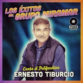 Download track El Columpio Ernesto Tiburcio 