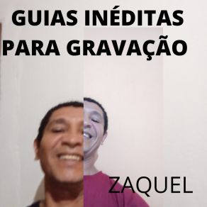 Download track Virus Do Amor ZAQUEL