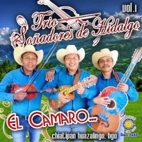 Download track El Polvorete Trío Soñadores De Hidalgo