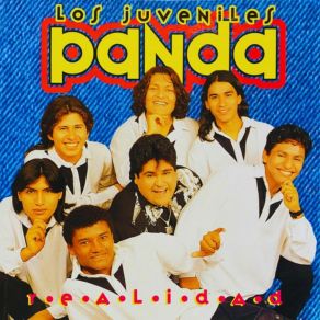 Download track Mi Gran Amor Se Ha Ido Los Juveniles Panda