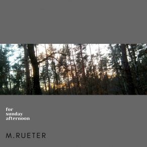 Download track Afternoon M. Rueter