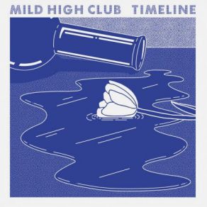 Download track Elegy Mild High Club