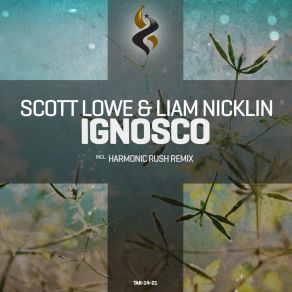 Download track Ignosco (Original Mix) Scott Lowe, Liam Nicklin