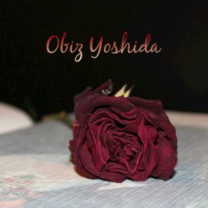 Download track Brake Vinyl Obiz Yoshida