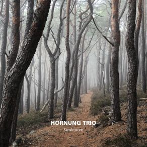 Download track Im Rausch Hornung Trio