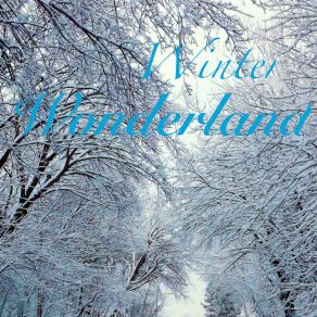 Download track Winter Wonderland Zack Lockhart