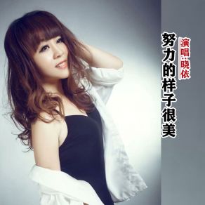 Download track 努力的样子很美 (伴奏版) 晓依