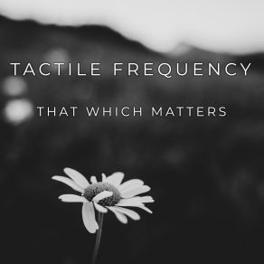 Download track No Miracles Tactile Frequency