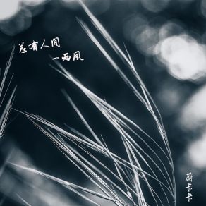 Download track 总有人间一两风 (伴奏) 蔚卡卡