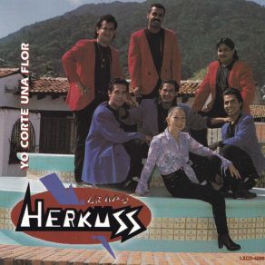 Download track Siempre Te Amare Grupo Herkuss