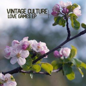 Download track You Can't Hide (Original Mix) Vintage Culture