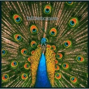 Download track Are You Blue Or Are You Blind? - Radio 1 Sound City 95 Bristol The Bluetones