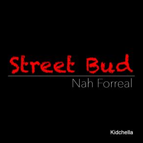 Download track Nah Forreal Street Bud