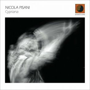 Download track Conduction N'. 52 Nicola Pisani