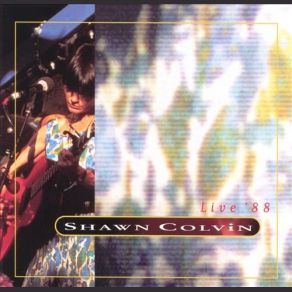 Download track Diamond In The Rough Shawn Colvin