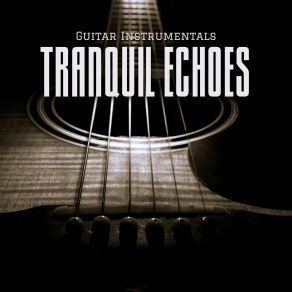 Download track Soft Echoes Guitar Instrumentals