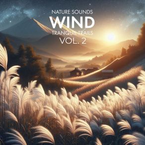 Download track Wind's Midnight Dance Tranquil Trails