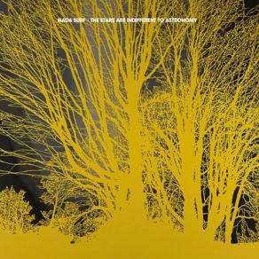 Download track The Future (Acoustic)  Nada Surf