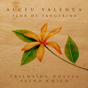 Download track Flor De Tangerina Alceu Valença