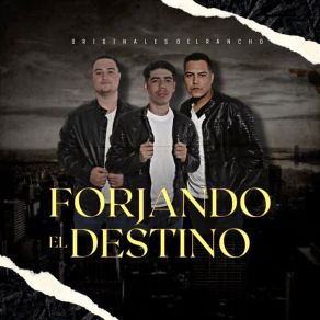 Download track Nunca Mas Podré Olvidarte Originales Del Rancho