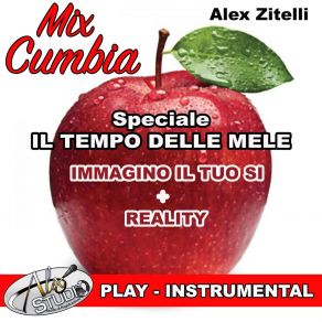 Download track IMMAGINO IL TUO SI - REALITY (Instrumental + 1S) Alex Zitelli