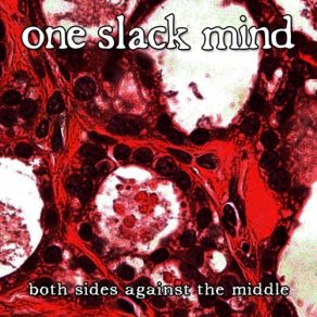 Download track Mongrels One Slack Mind