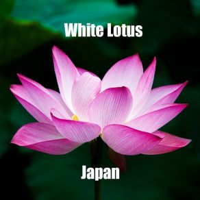 Download track Houi-Kake White Lotus