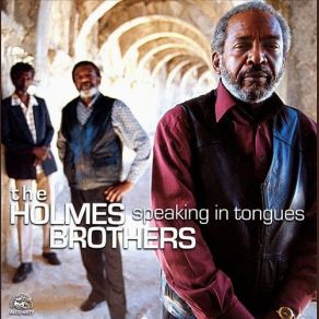 Download track I Shall Not Walk Alone The Holmes Brothers