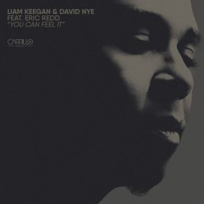 Download track You Can Feel It (Radio Mix) David Nye