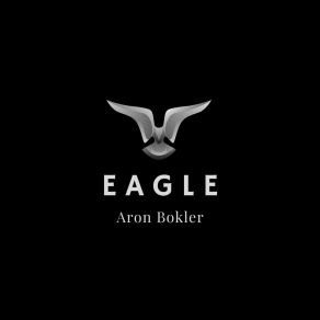 Download track Intelligent Aron Bokler