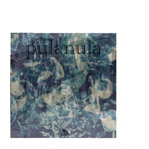 Download track Planula Apostrof