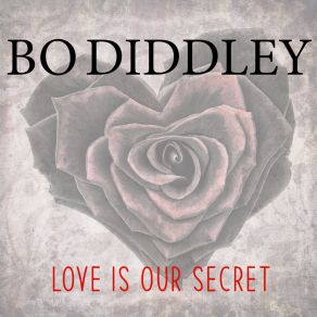 Download track You Don't Love Me Bo Diddley