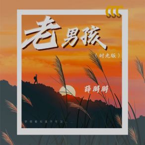 Download track 老男孩 (时光版) 薛朋朋