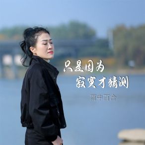 Download track 只是因为寂寞才猜测 (伴奏) 雨中百合