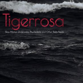 Download track Swimming Tigerrosa