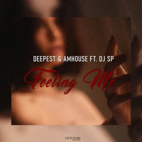 Download track Feeling Me Sp-Dj