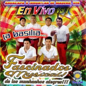 Download track La Manta Fascinados Musical