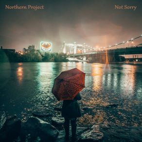 Download track Not Sorry (D. A. Scott Remix) Northern Project