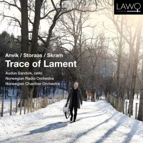 Download track Emerge Audun Sandvik