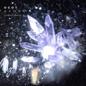 Download track Secret Garden (Extended Mix) OCOT