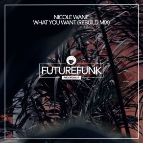 Download track What You Want (Rebuild Mix) Nicole WaneThe Vip